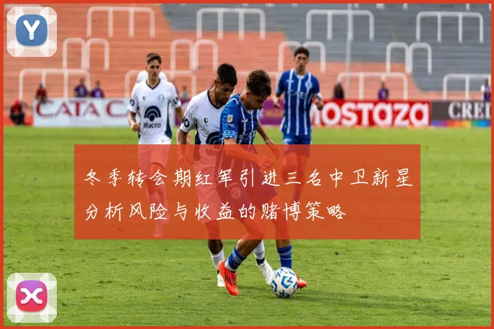 冬季转会期红军引进三名中卫新星分析风险与收益的赌博策略