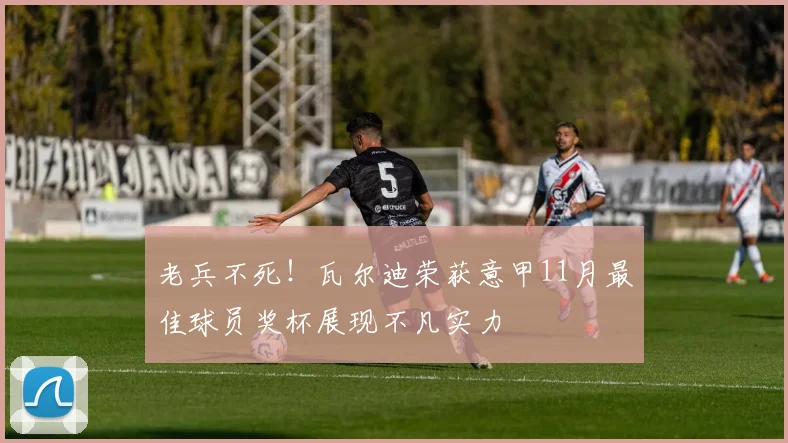 老兵不死！瓦尔迪荣获意甲11月最佳球员奖杯展现不凡实力