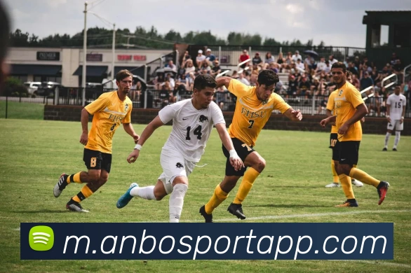 安博体育发展历程